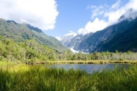 Neuseeland Erdbeben