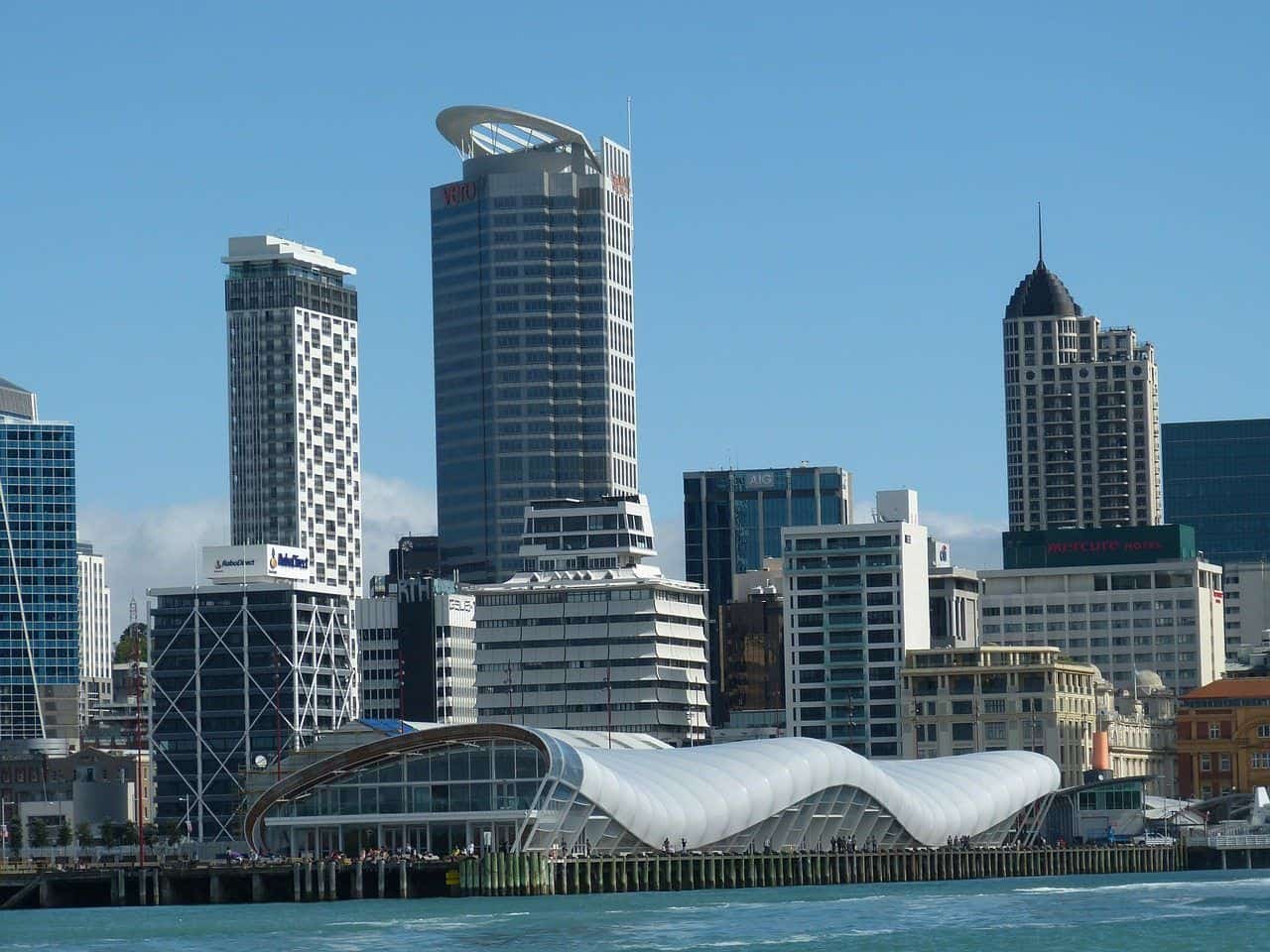 Studieren in Auckland